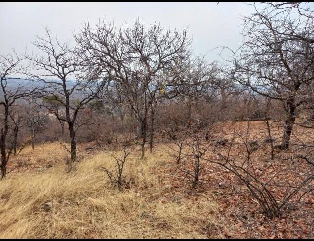 FARM FOR SALE IN MOPANE